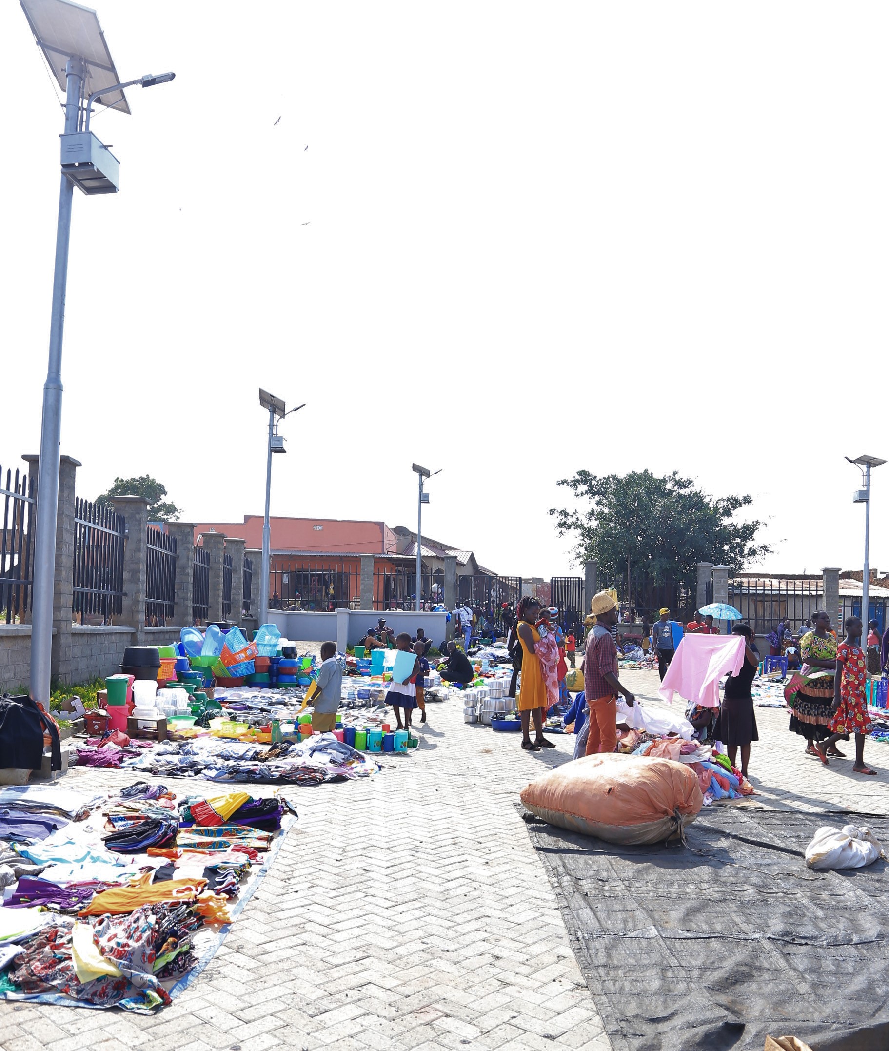 biiso-market-4